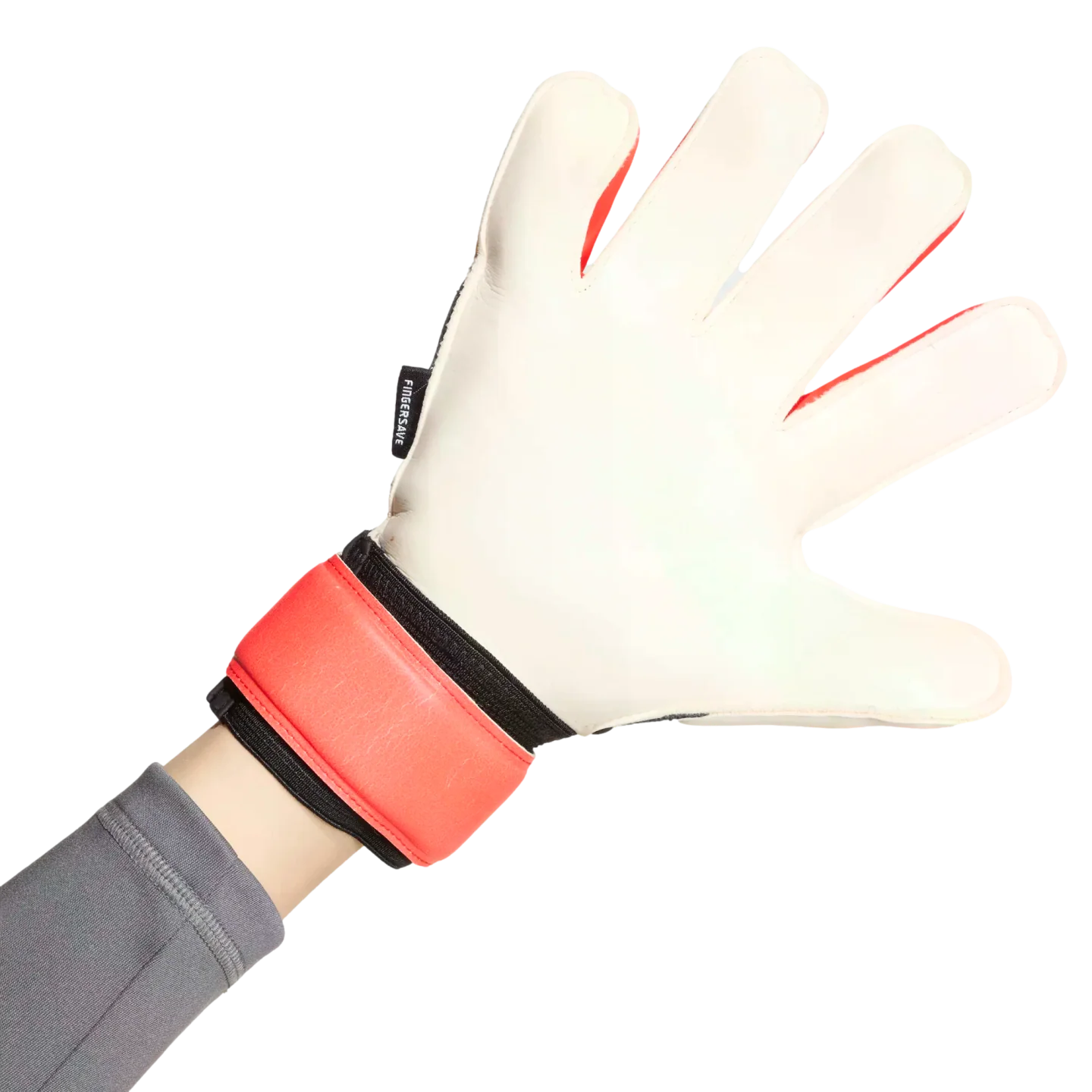 Thumb 3